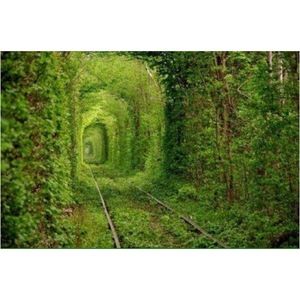 Meet your Posher, Normie